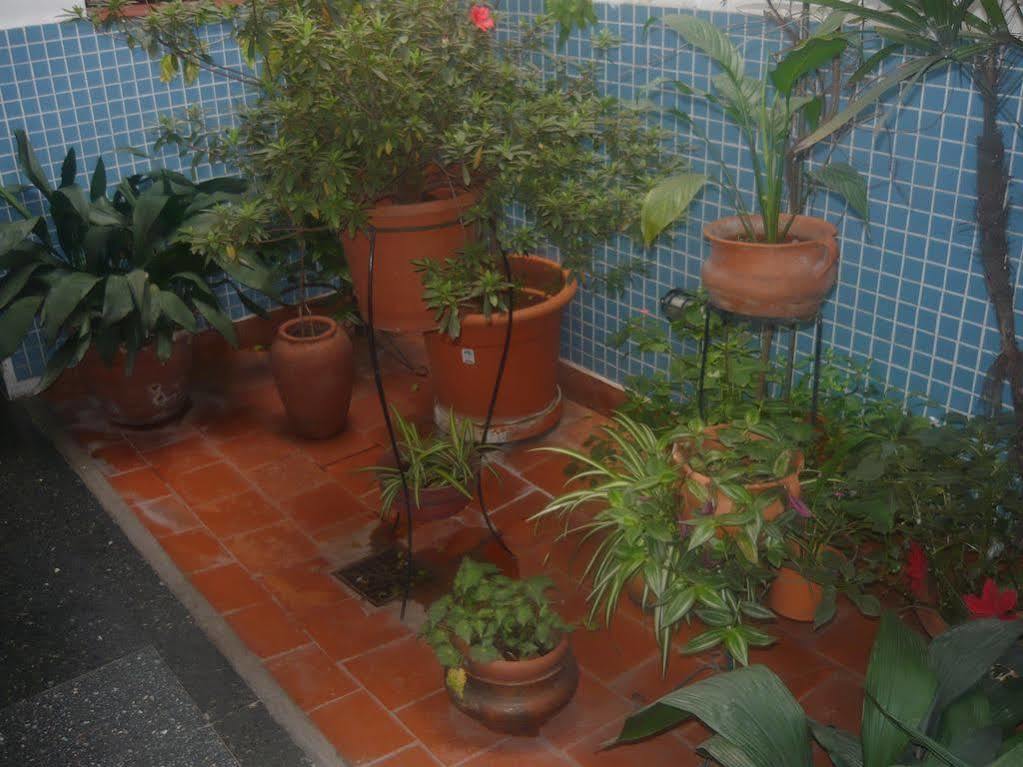 Hotel Iconico Jujuy Centro Desayuno Incluido 圣萨尔瓦多德朱 外观 照片